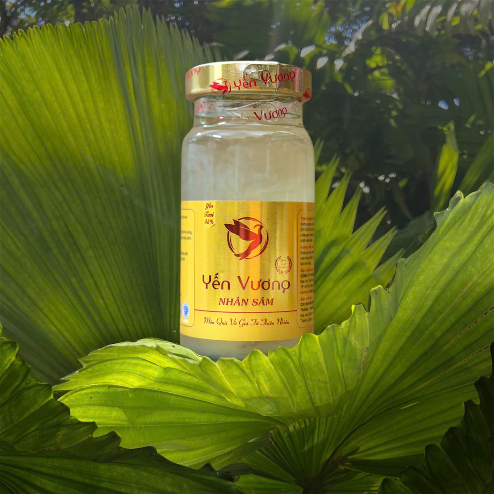 Hũ yến Vương 140ml Nhân Sâm